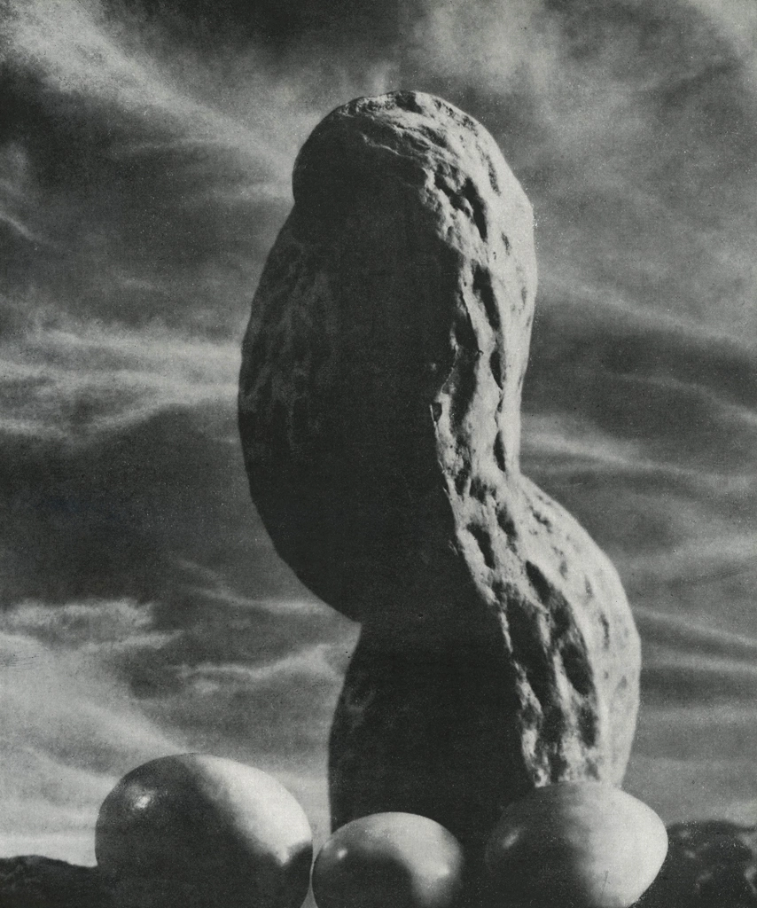 「大いなるオブゼ」 植木昇 （1949年） | アルス写真年鑑 1950より