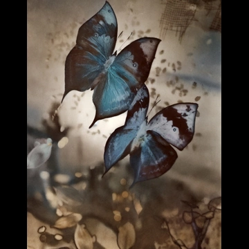 「作品」 紀伊克美 （1950年）