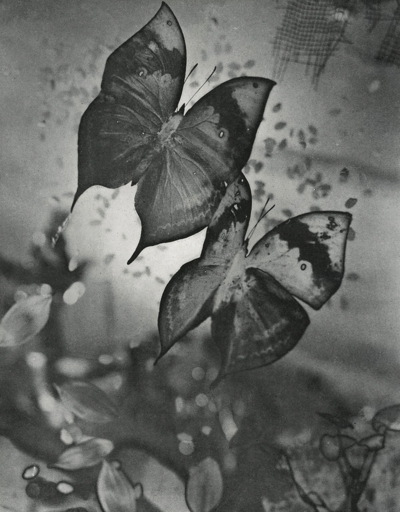 「作品」 紀伊克美 （1950年） | アルス写真年鑑 1950より