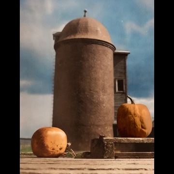 「南瓜とサイロ」 境義一郎 （1949年）