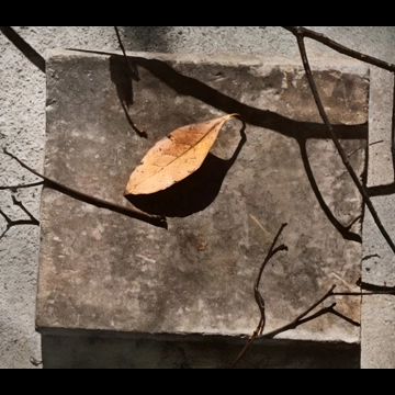 「屋外静物」 河野徹