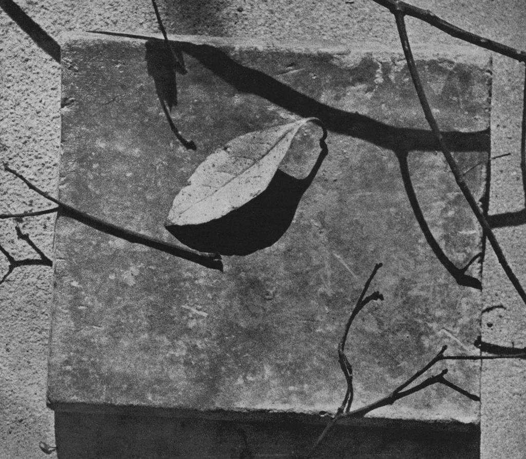 「屋外静物」 河野徹 | アルス写真年鑑 1950より