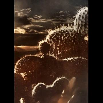 「無題」 船越淳一