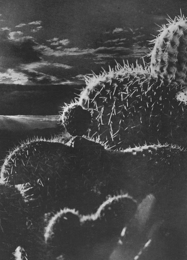 「無題」 船越淳一 | アルス写真年鑑 1950より