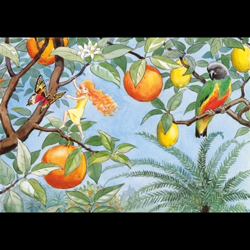 「おひさまのたまご 挿絵 #11 （オレンジが実るおひさまの国で暮らす妖精）」 エルサ・ベスコフ