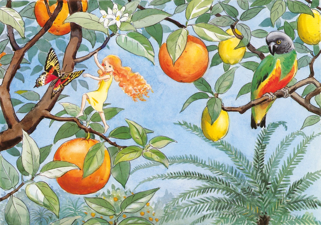 「おひさまのたまご 挿絵 #11 （オレンジが実るおひさまの国で暮らす妖精）」 エルサ・ベスコフ | 1