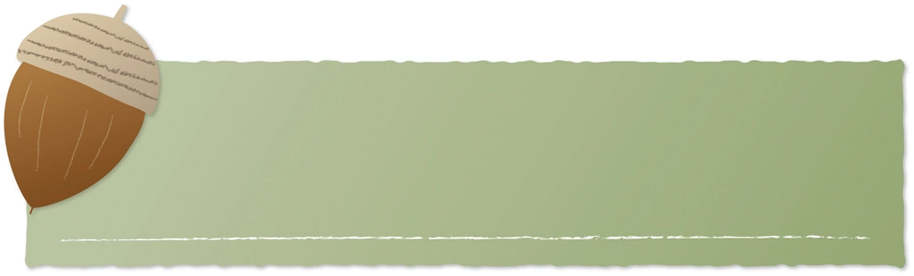 4種類のどんぐりとバナーのイラストとベクター | 緑色系