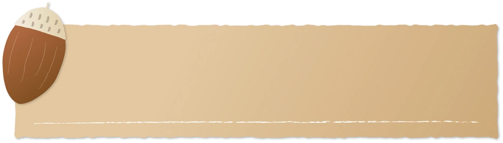 4種類のどんぐりとバナーのイラストとベクター | ベージュ色系