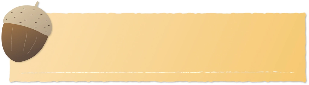 4種類のどんぐりとバナーのイラストとベクター | 黄色系