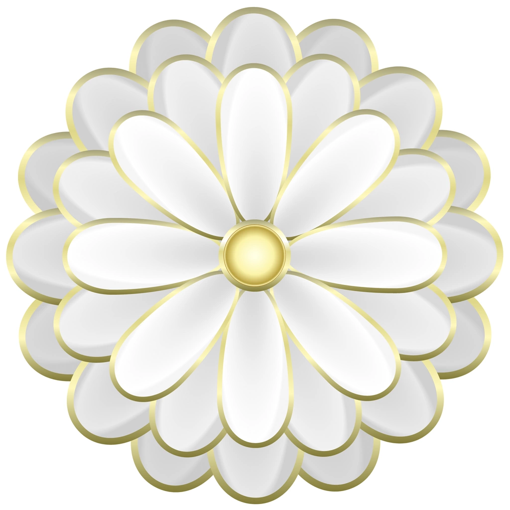 6種類の菊の花の図案イラストとベクター | 白色