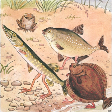 「しりたがりやのちいさな魚のお話 挿絵 #8 （岸に上がる魚たち）」 エルサ・ベスコフ