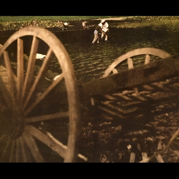 「畠仕事」 仲野元一 （1950年）