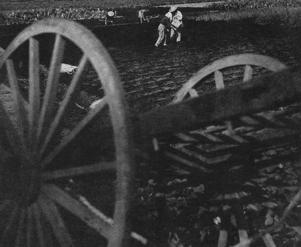 「畠仕事」 仲野元一 （1950年） | アルス写真年鑑 1950より
