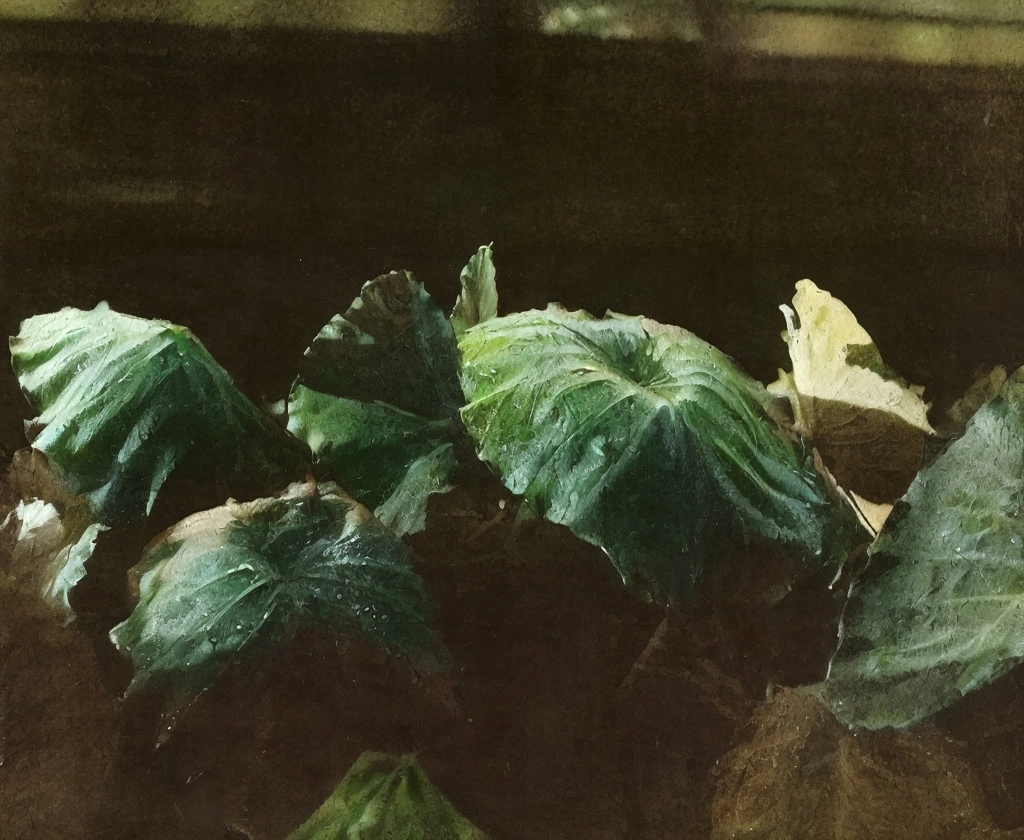 「朝露」 山崎重明 （1949年） | AIカラー化