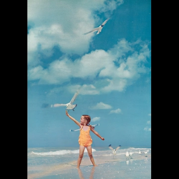 「無題（カモメに餌を上げる女の子）」 オジー・スウィート