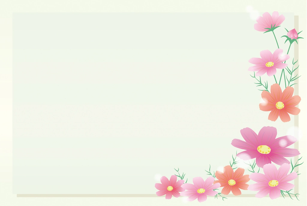 Set of 4 Cosmos Flowers and Frame Illustrations and Vectors | Light green