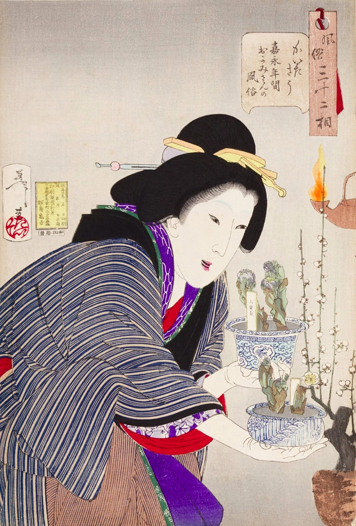 「風俗三十二相 かいたさう 嘉永年間おかみさんの風俗」 月岡芳年 （1888年） | 3