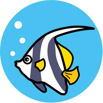 4種類のハタタテダイのイラストとベクター