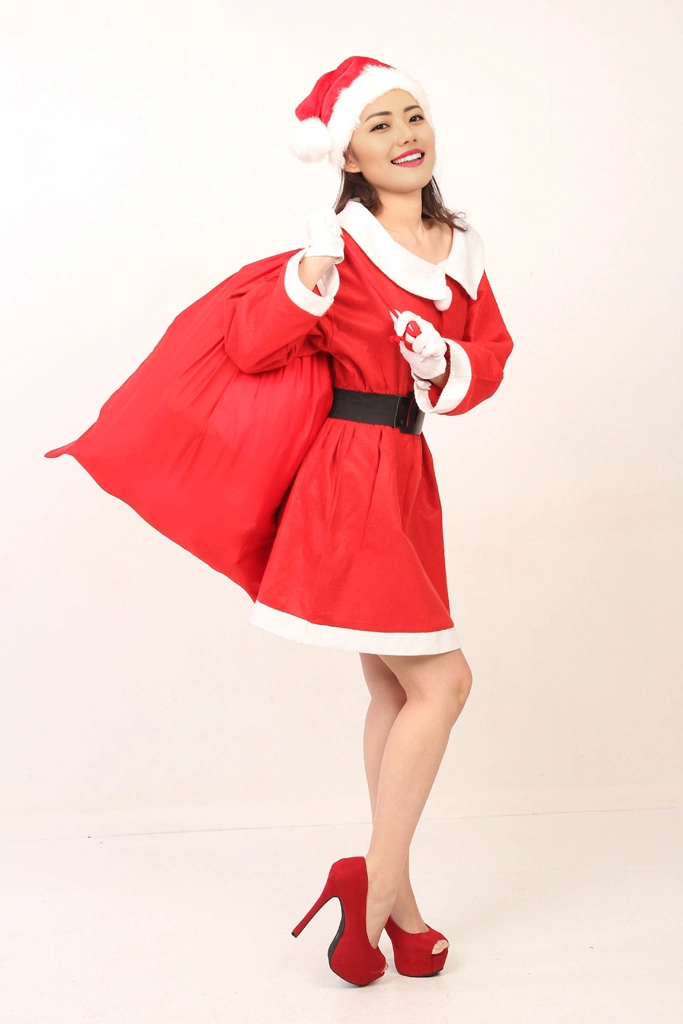 5種類のサンタクロースの衣装を着てプレゼント袋を担ぐ女性のポートレート写真 | アジア人女性 ＃1 （顔 AI加工）
