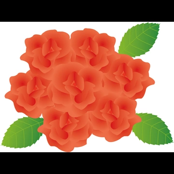 3種類のバラの花のイラストとベクター