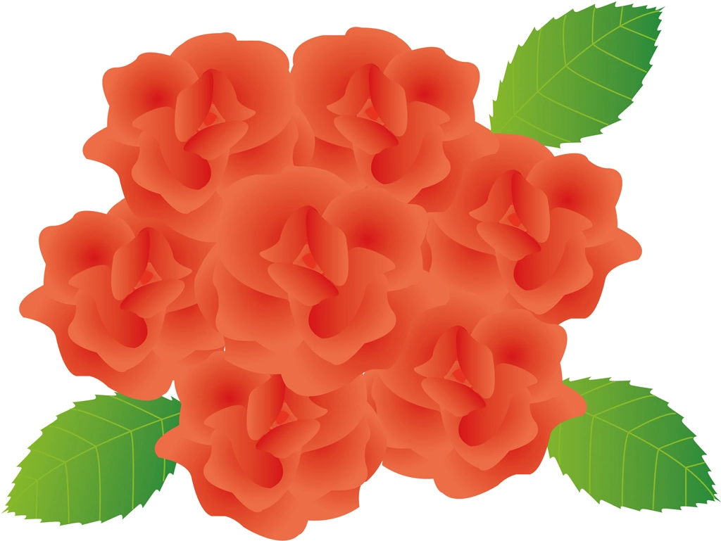 3種類のバラの花のイラストとベクター | 赤色