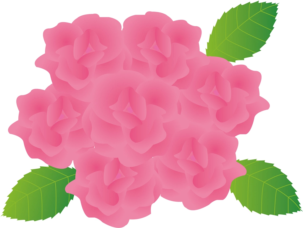 3種類のバラの花のイラストとベクター | ピンク色