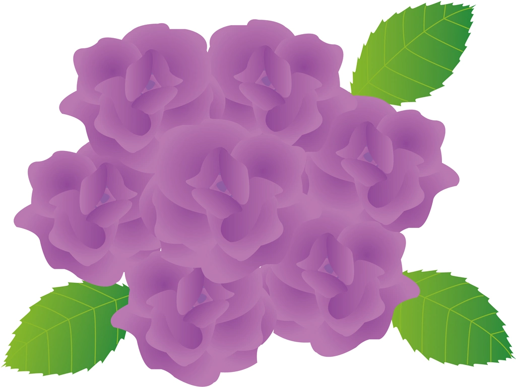 3種類のバラの花のイラストとベクター | 紫色