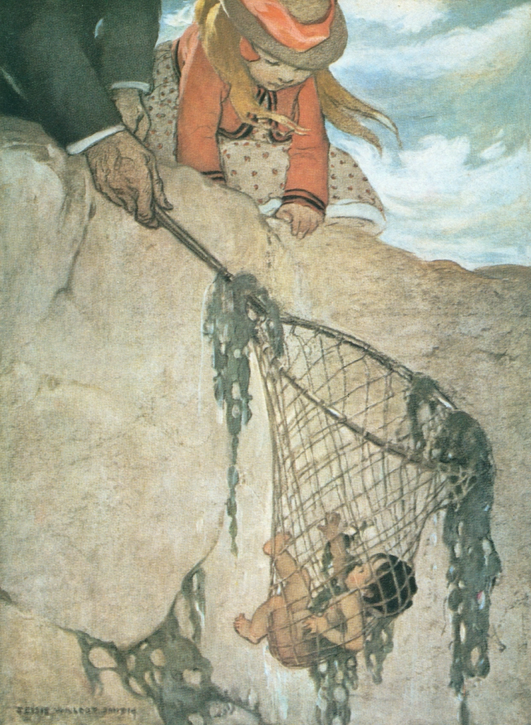 「水の子どもたち 挿絵 #6 （網で引き上げられる水の赤ちゃんになった煙突掃除夫トム）」 ジェシー・ウィルコックス・スミス | 1