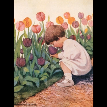 「チューリップタイム （A Very Little Child’s Book of Stories）」 ジェシー・ウィルコックス・スミス （1923年）
