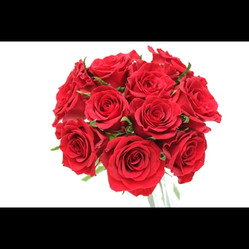 2種類の赤いバラの花束の写真