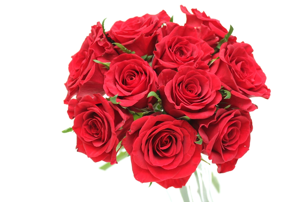 2種類の赤いバラの花束の写真 | 1