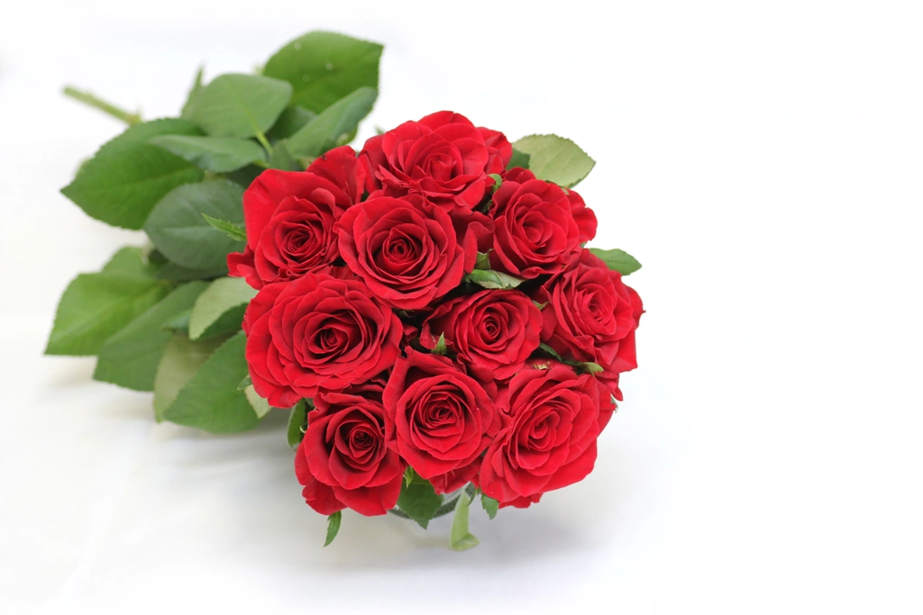 2種類の赤いバラの花束の写真 | 2