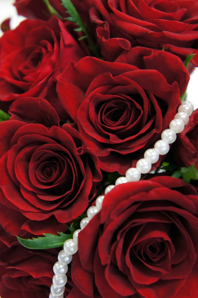 2種類のバラの花と真珠のネックレスの写真 | 2