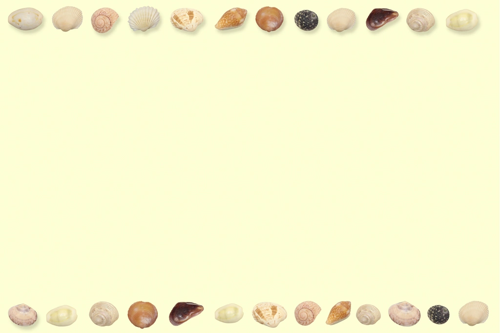 3種類の貝殻のフレーム（横長）の写真 | 黄色