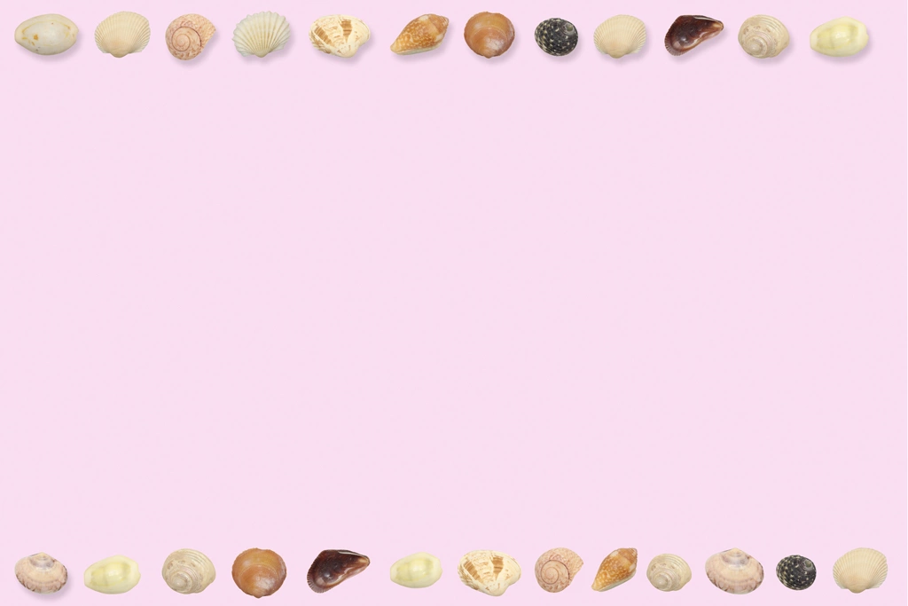 3種類の貝殻のフレーム（横長）の写真 | ピンク色