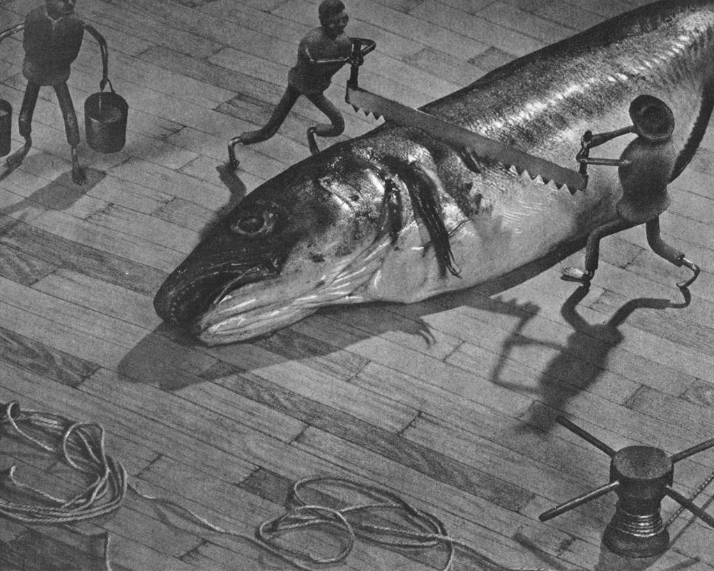「北欧便り」 ピエール・ルーセ&nbsp;-&nbsp;アサヒカメラ 1955年4月号より