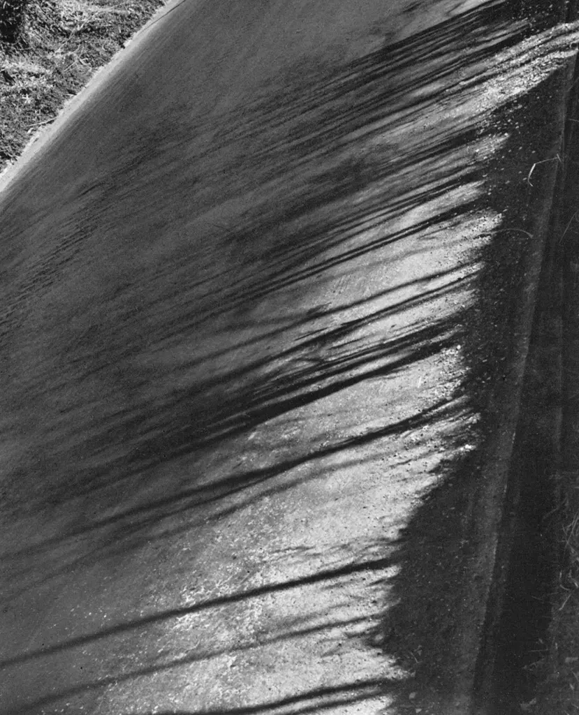 「秋のひざし （武蔵野軍用道路にて）」 島田謹介&nbsp;-&nbsp;アサヒカメラ 1955年12月号より