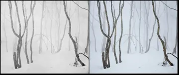 次の作品"