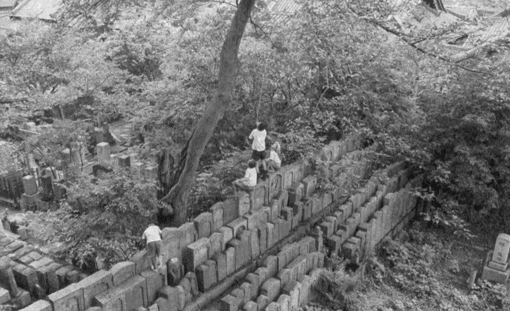 「せみとり」 大野ユタカ&nbsp;-&nbsp;アサヒカメラ 1955年12月号より
