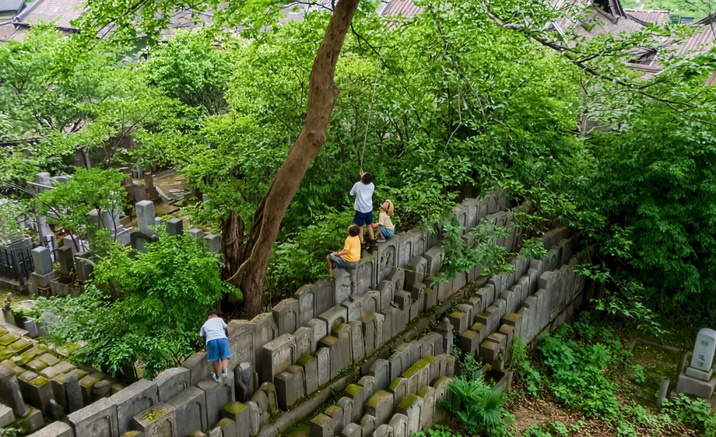 「せみとり」 大野ユタカ&nbsp;-&nbsp;AI加工 カラー化