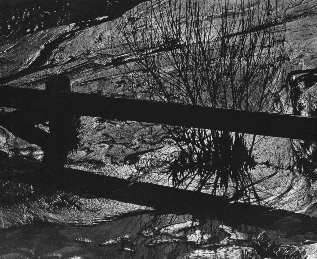 「泥と柴」 ウィン・バロック&nbsp;-&nbsp;アサヒカメラ 1955年12月号より