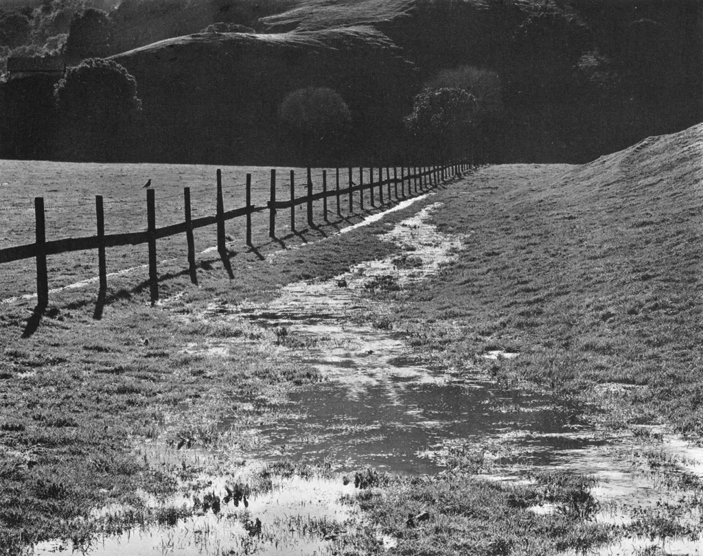 「湿原」 ウィン・バロック&nbsp;-&nbsp;アサヒカメラ 1955年12月号より