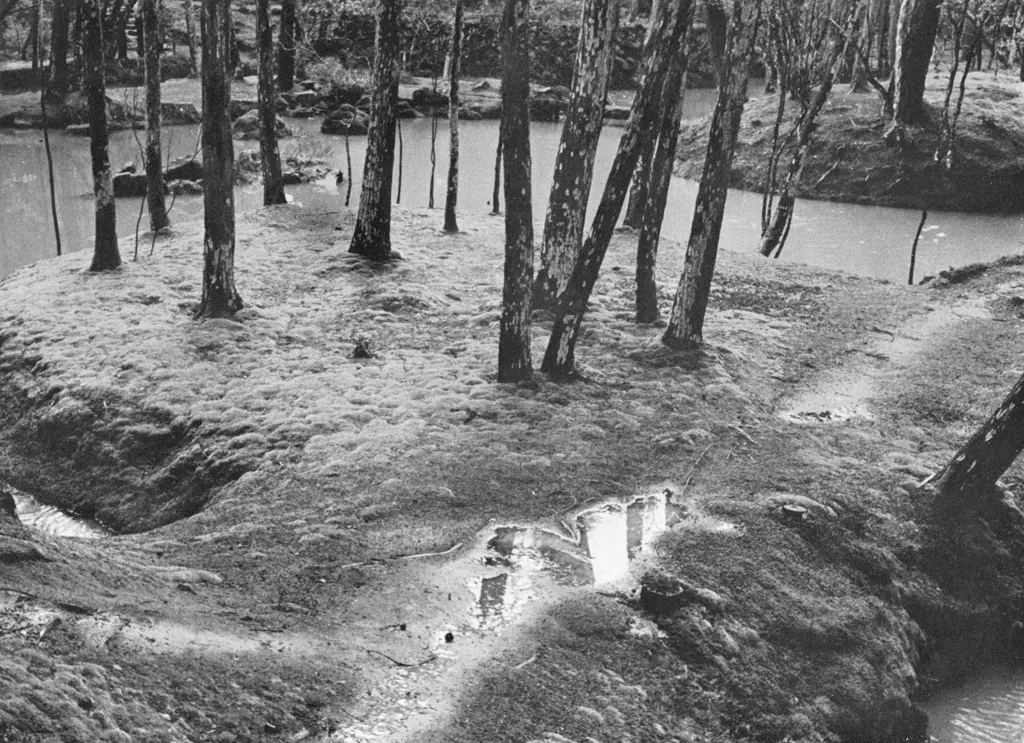 「苔寺 （林泉）」 中藤敦&nbsp;-&nbsp;アサヒカメラ 1956年7月号より