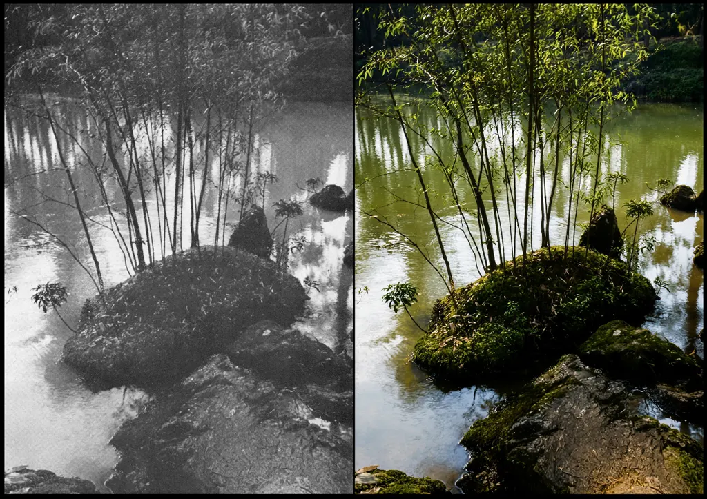 「苔寺 （七本竹）」 中藤敦