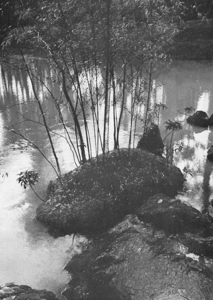 「苔寺 （七本竹）」 中藤敦&nbsp;-&nbsp;アサヒカメラ 1956年7月号より