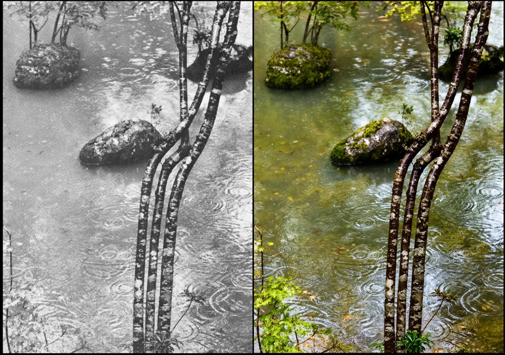 「苔寺 （三つの石）」 中藤敦