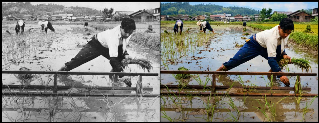 “Indian Couple Live and Learn in Japanese Farm (Rice Planting)” by Hideo Satp