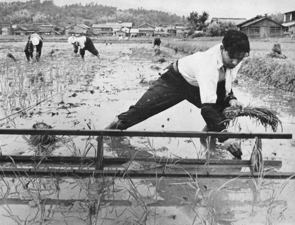 「ある印度人夫妻 （田植えするインド人研究生）」 佐藤英雄&nbsp;-&nbsp;アサヒカメラ 1956年7月号より