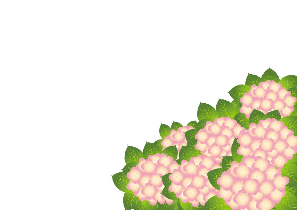 紫陽花の背景イラストとベクター&nbsp;-&nbsp;ピンク色