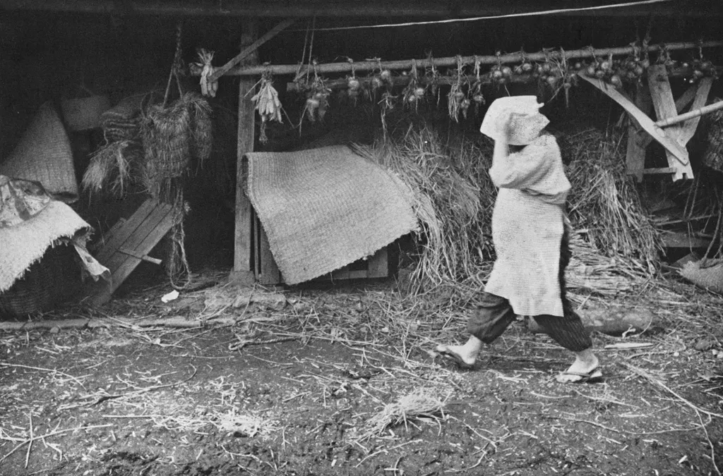 「納屋 #2」 植田正治&nbsp;-&nbsp;アサヒカメラ 1955年3月号より